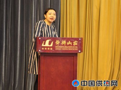 清华大学同衡能源规划设计院李丁丁博士讲解《小型热电厂供热问题浅析》