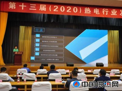 山东省热电设计院刘博院长做《2020 山东省热电行业（燃煤机组）调研报告》