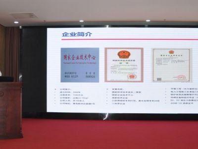 青岛达能环保设备股份有限公司副总工程师傅吉收讲解低碳&清洁能源利用方案