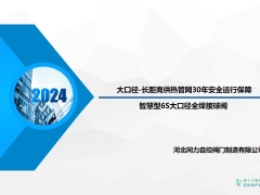 河北同力：大口径、长距离供热管网30年安全运行保障——智慧型6S大口径全焊接球阀